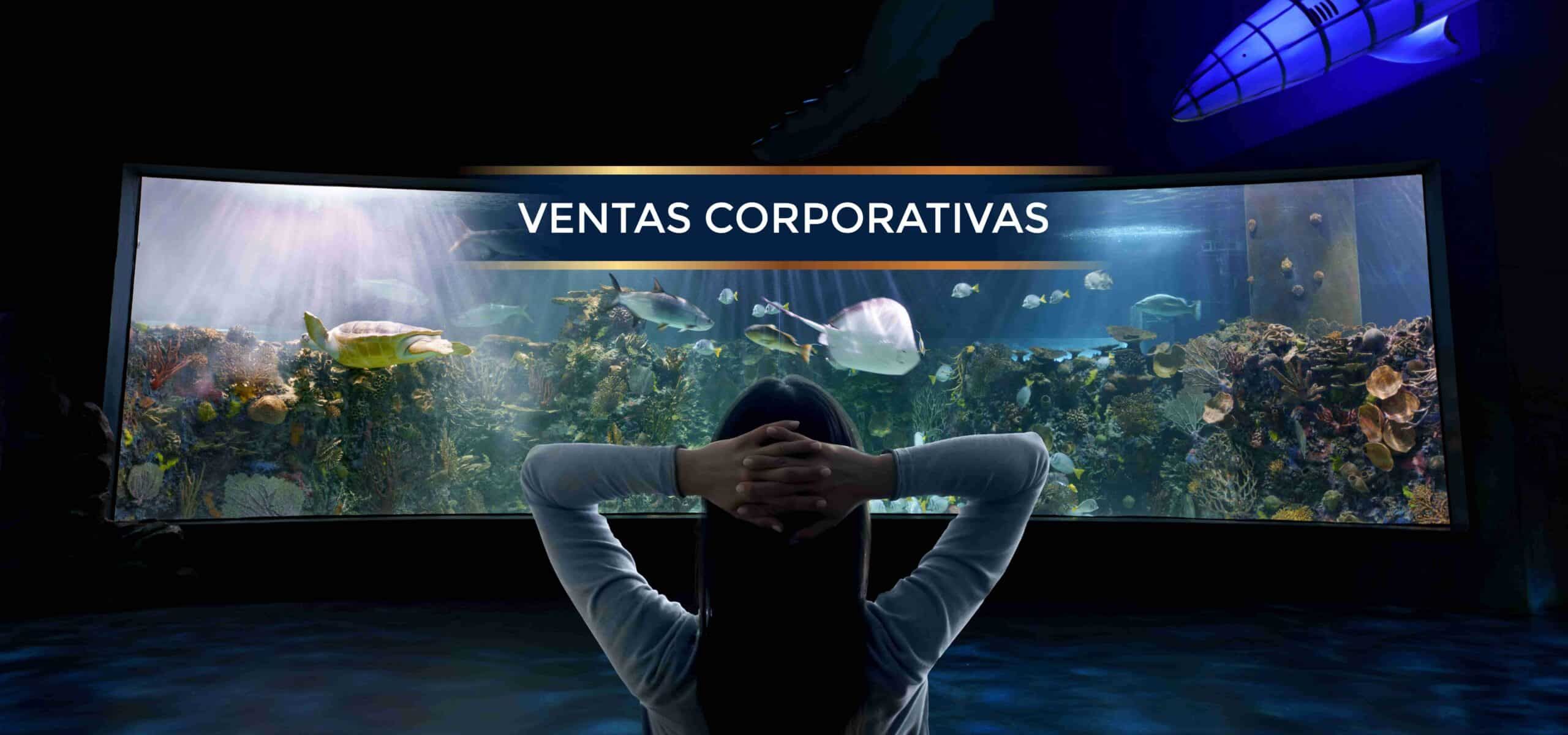 Acuario Inbursa