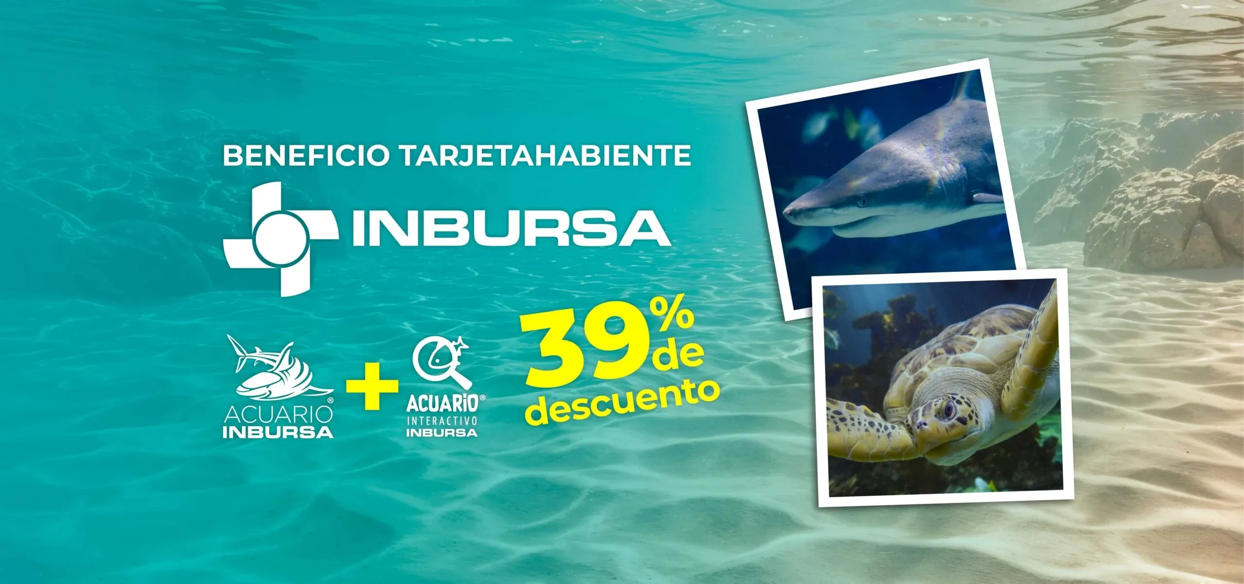 Acuario Inbursa