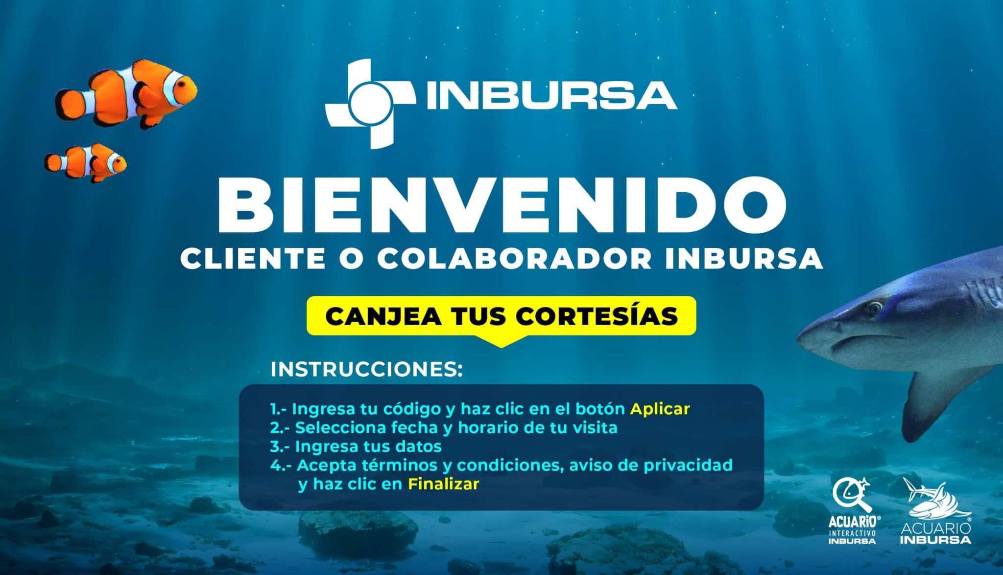 Acuario Inbursa