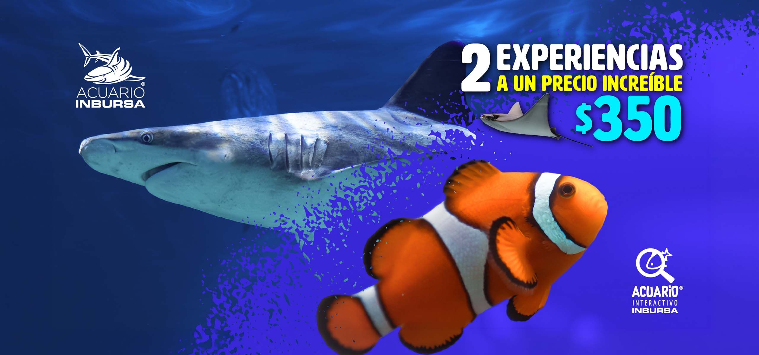 Acuario Inbursa