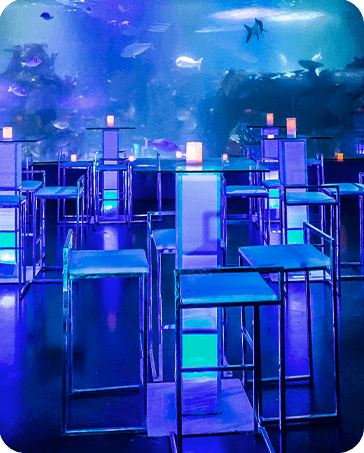 Galería Acuario
