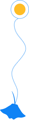 Decoración de fondo
