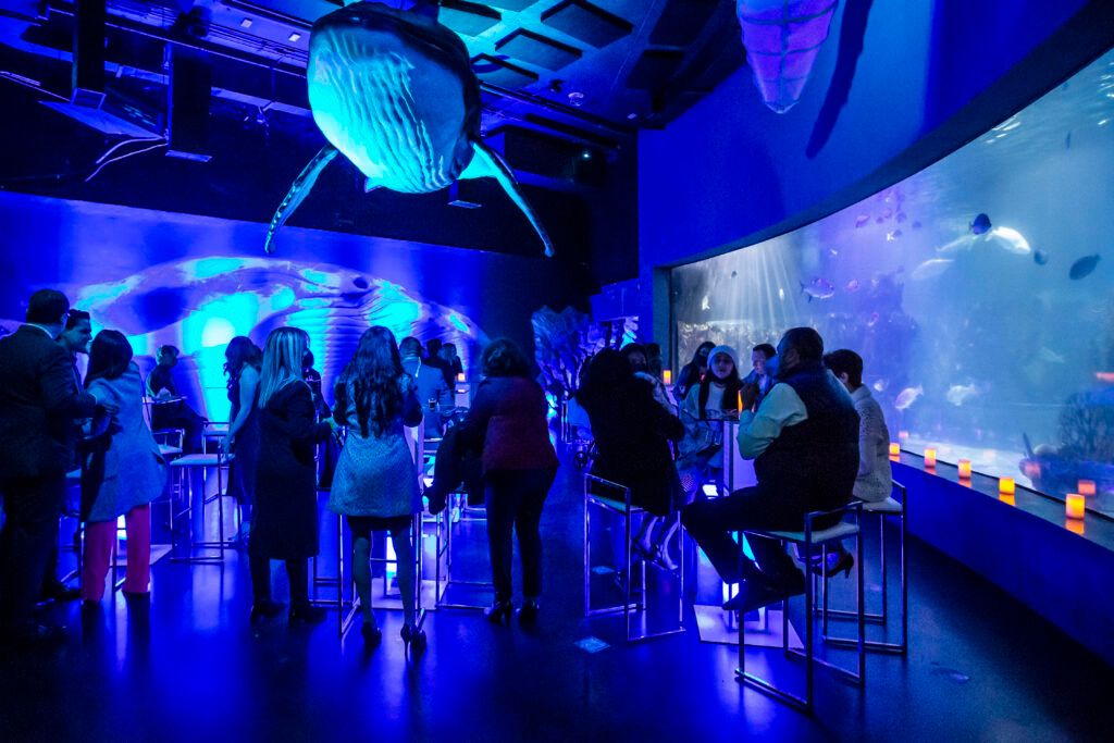 TU EVENTO CORPORATIVO