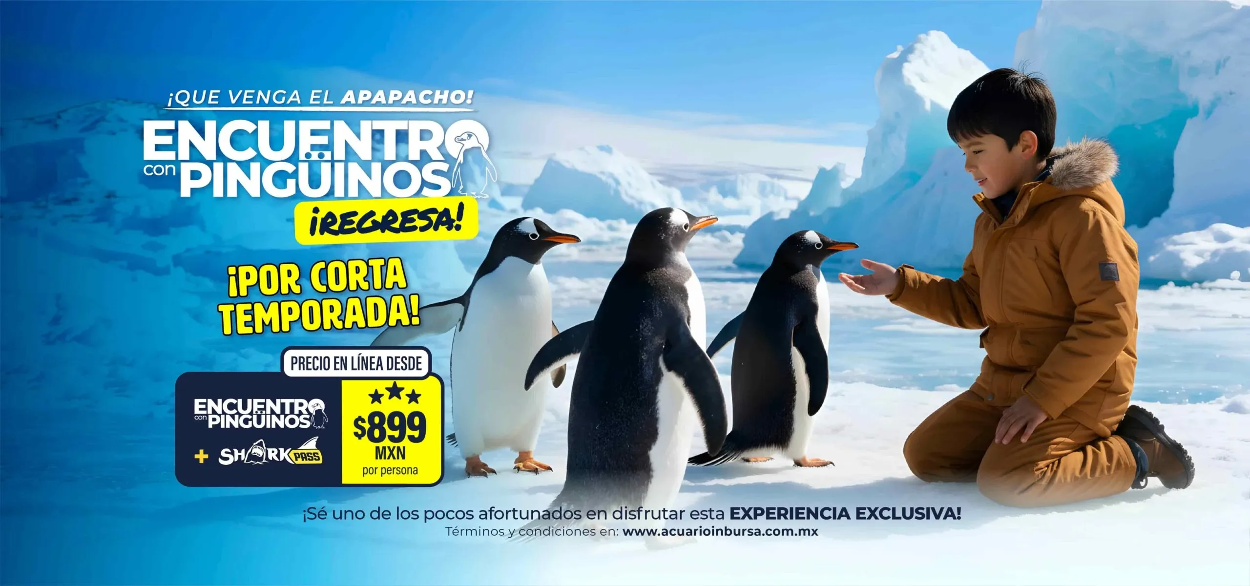 Acuario Inbursa