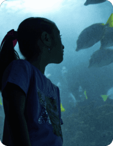 Galería Acuario