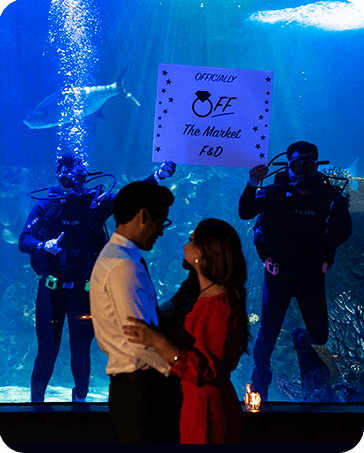 ¡en el Acuario Inbursa!