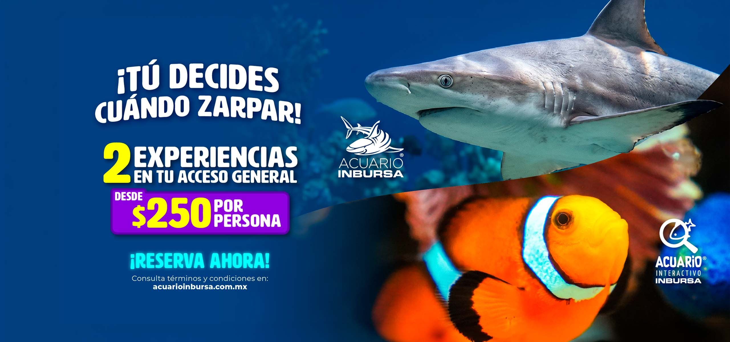 Acuario Inbursa