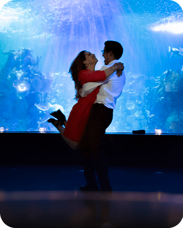 ¡en el Acuario Inbursa!