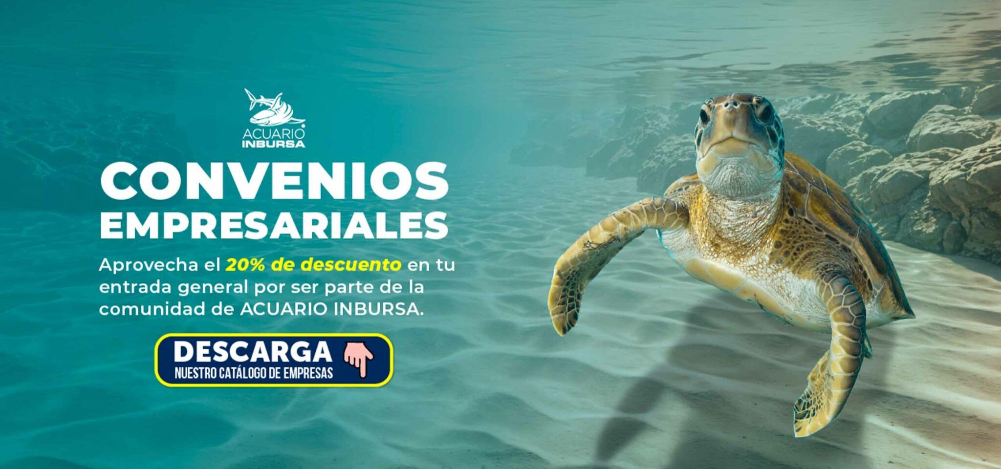 Acuario Inbursa