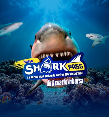 SHARK PASS