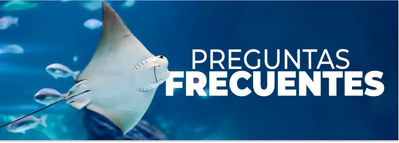 Acuario Inbursa