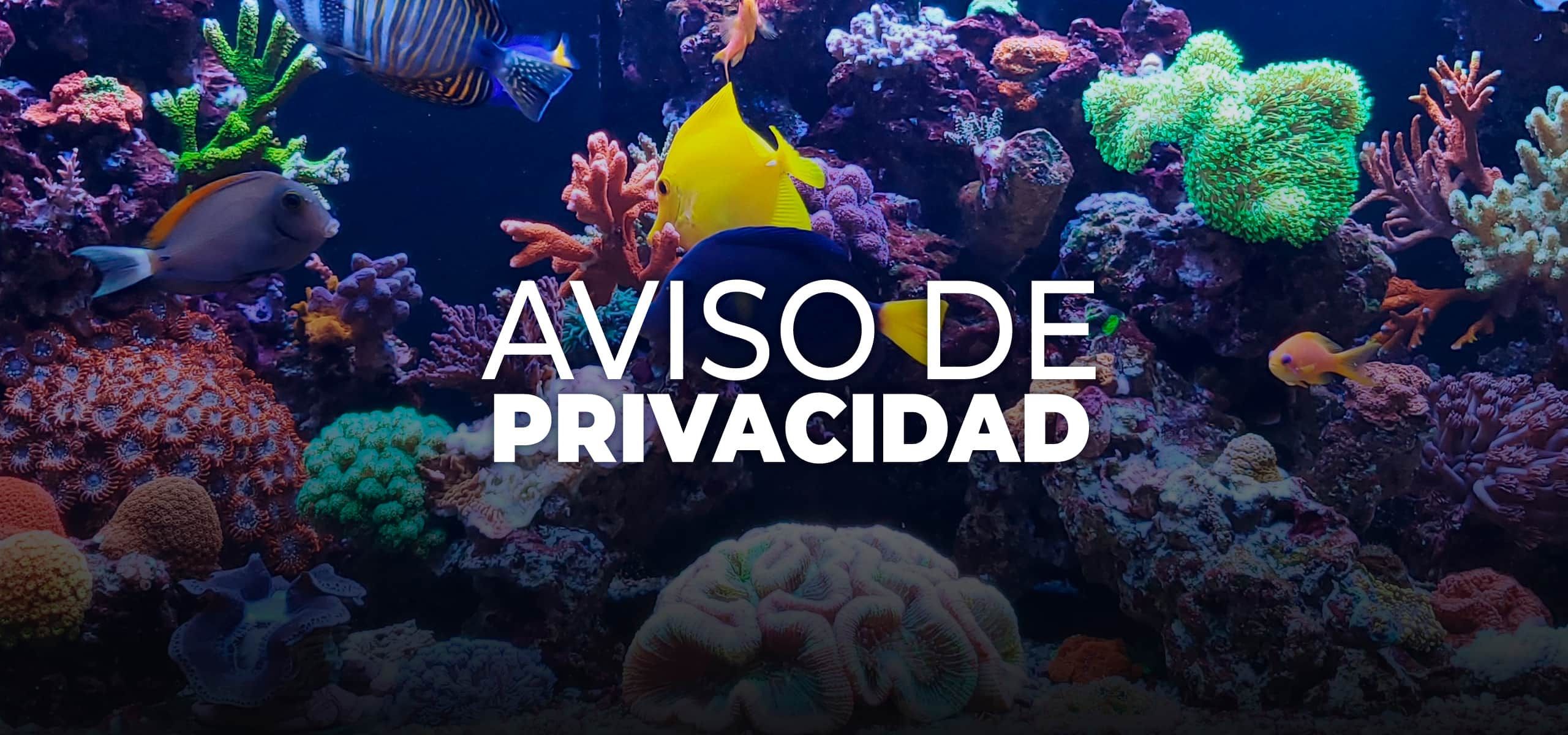 Acuario Inbursa