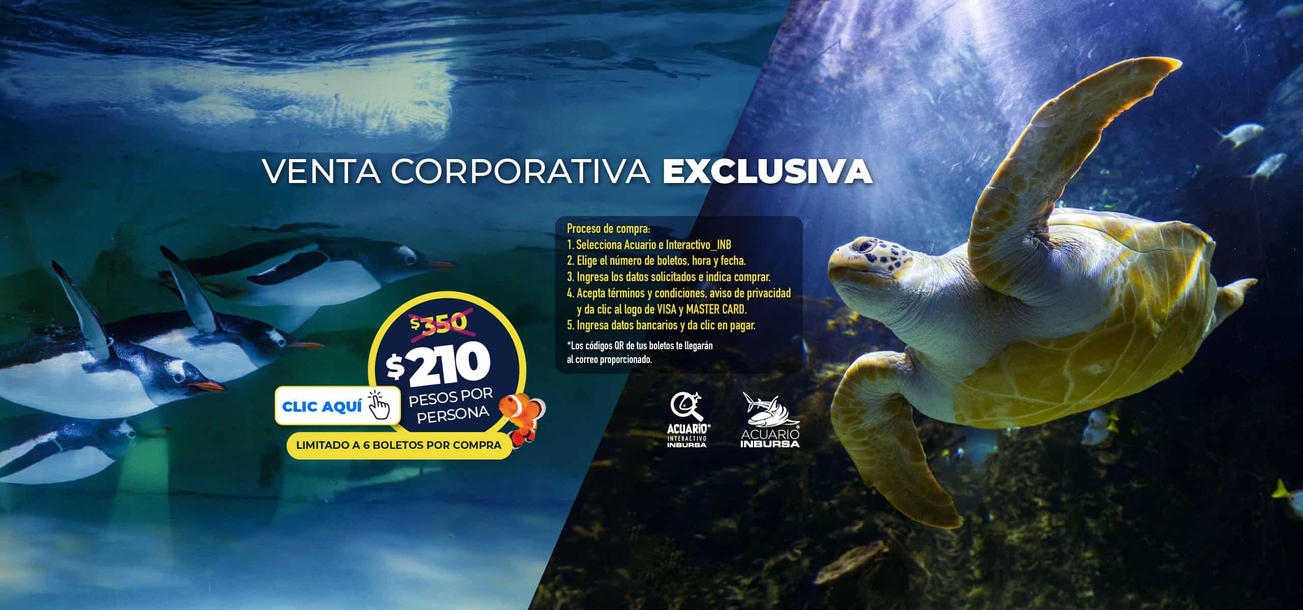 Acuario Inbursa