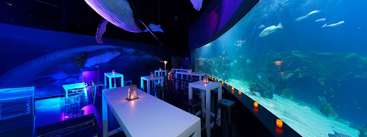 Acuario Inbursa