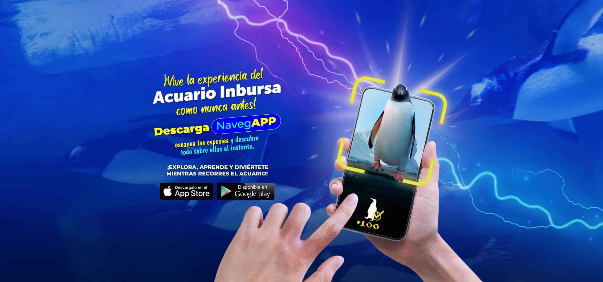 Acuario Inbursa