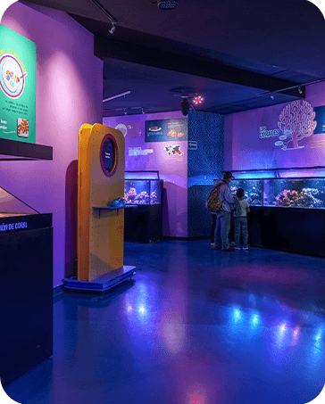 Galería Acuario