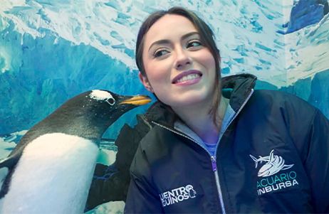 SHARKPASS + PINGUINOS