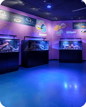 Galería Acuario