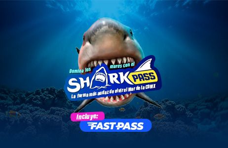 SHARK PASS