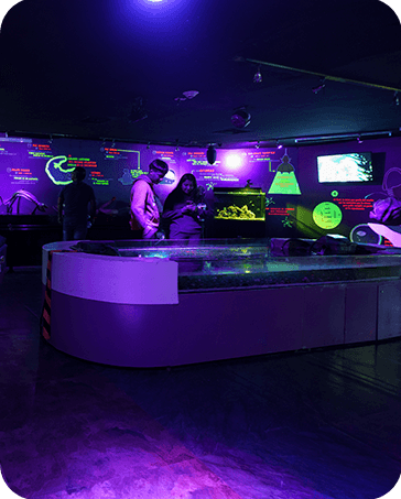 Galería Acuario