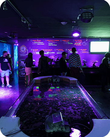 Galería Acuario