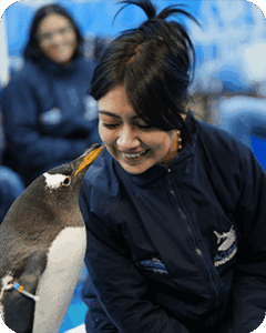 Galería Acuario