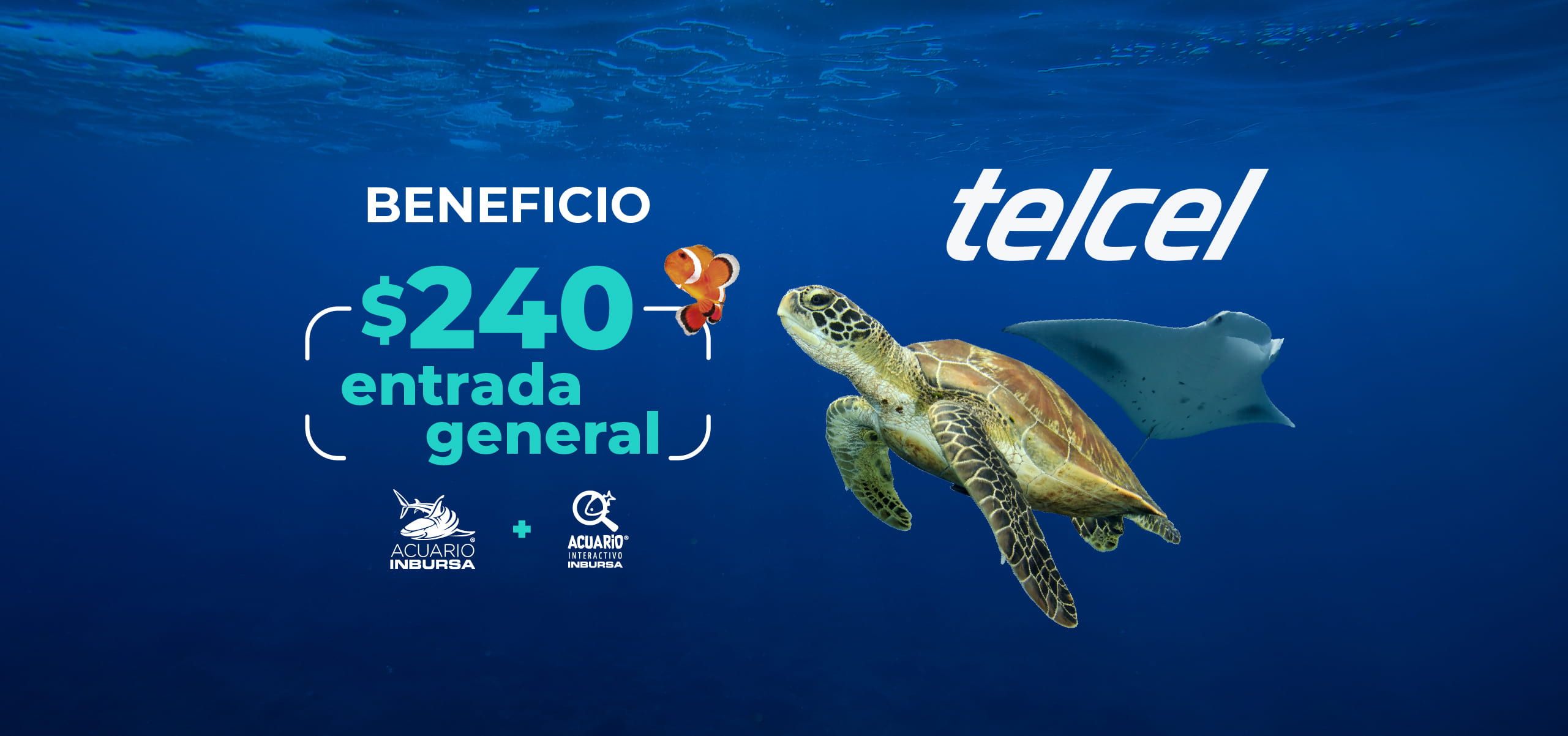 Acuario Inbursa