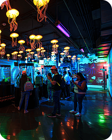 Galería Acuario