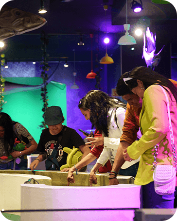 Galería Acuario