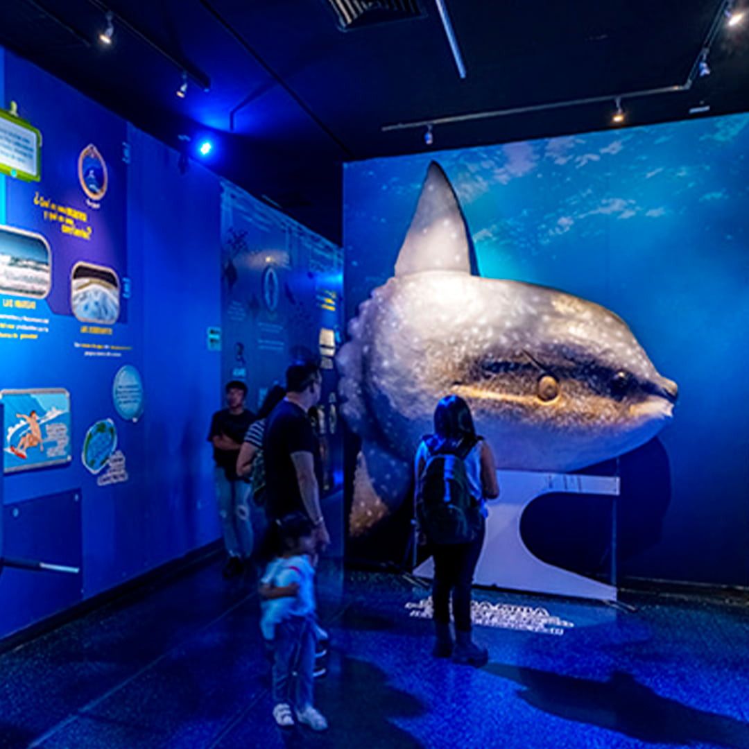 Acuario Interactivo