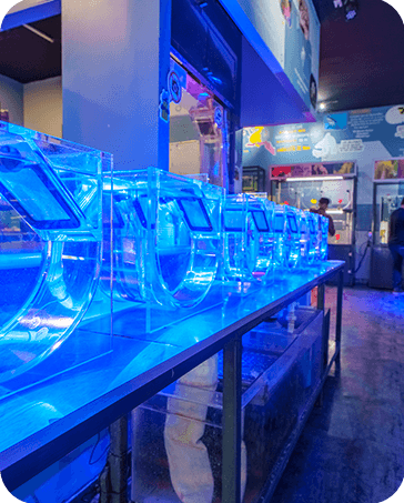Galería Acuario